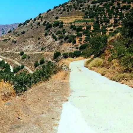 Epavlis Mirsini (Crete)